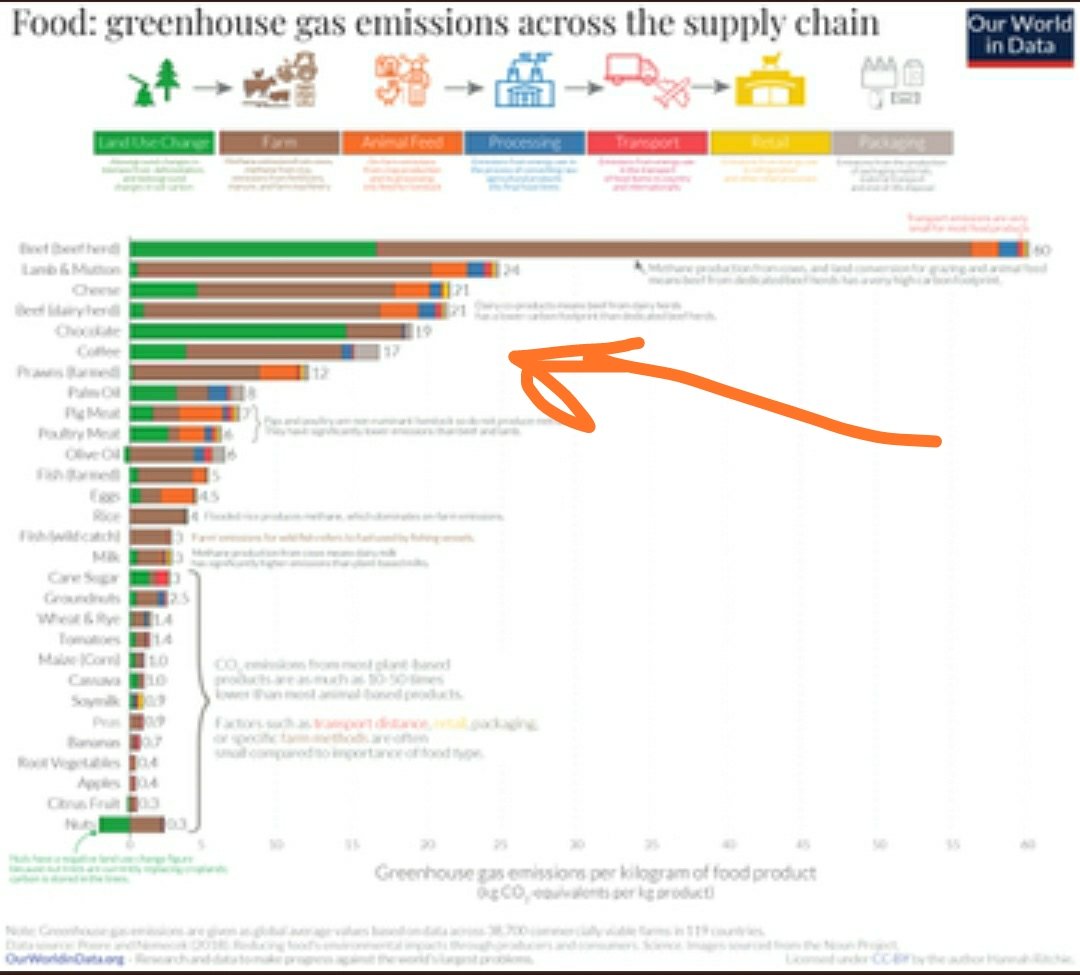 RosaBDB12's tweet photo. @libe @sandrousseau Libération fait dans le relativisme scientifique. L'alimentation animale est une cause d'émission de CO2 bien plus importante que l'alimentation végétale, mettre les deux sur le même plan est très malhonnête. https://t.co/pdSFQOmLui