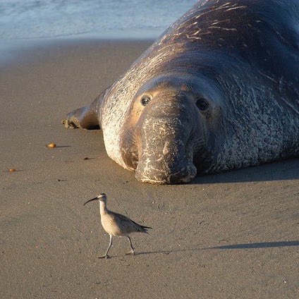 Wonder what he’s thinking