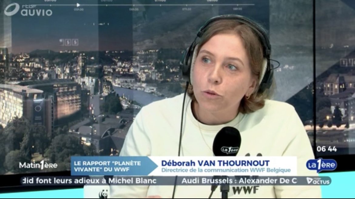 🌍Le <a href="/WWF/">WWF</a> publie son nouveau Rapport Planète Vivante aujourd’hui et <a href="/debvant/">Deborah Van Thournout</a> était l’invitée dans l’actu de <a href="/SophieBrems/">Sophie Brems</a> sur <a href="/lapremiere/">La Première</a> pour en parler. #LPR24 

🎧A réécouter ici 👉auvio.rtbf.be/media/les-sequ…