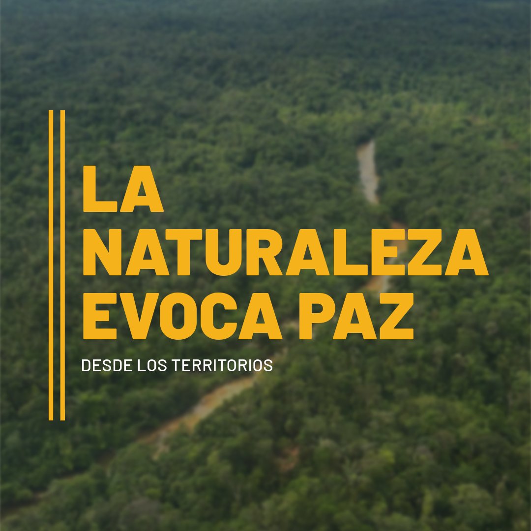 PASO COLOMBIA tweet media
