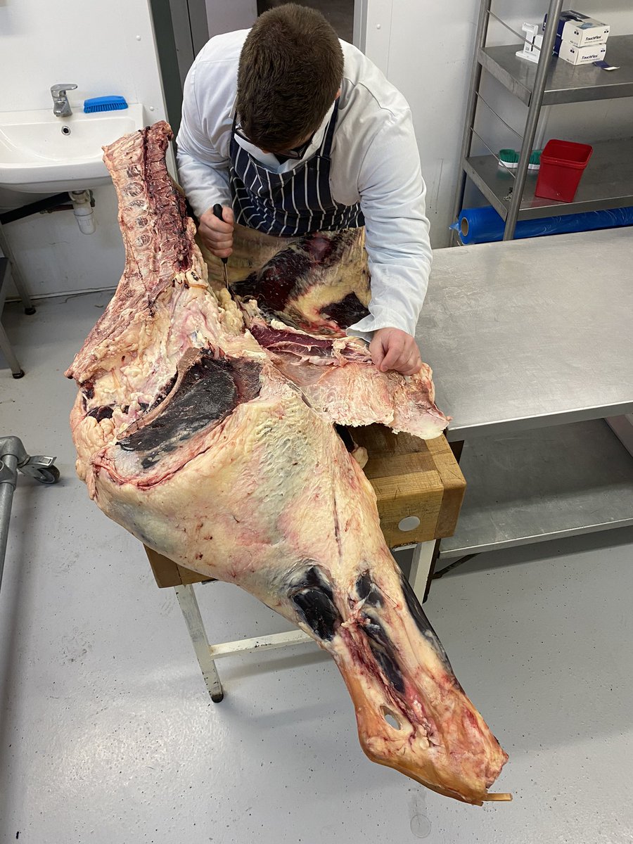 andyrumming's tweet photo. Kicking off this morning with this lovely @PastureForLife beef hinquarter ready for customer collection on Saturday 319kg R4H
#properbeef #pastureforlife #beef https://t.co/INhOXnuzxx