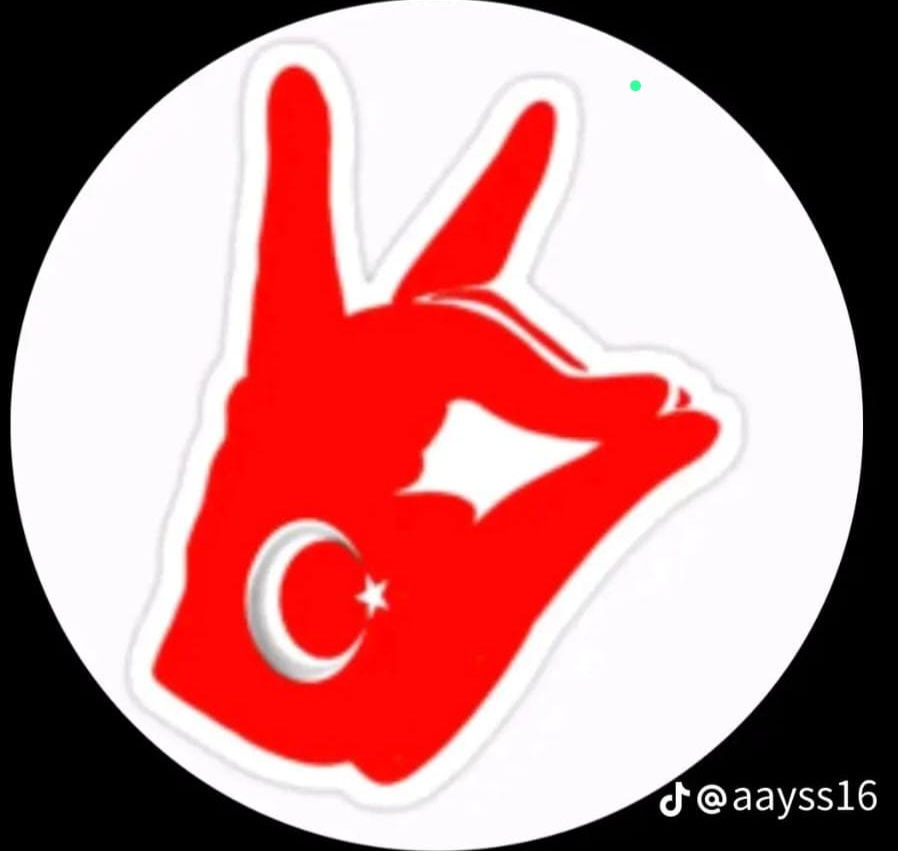 ERDAL SERT (@erdalse18822149) on Twitter photo 