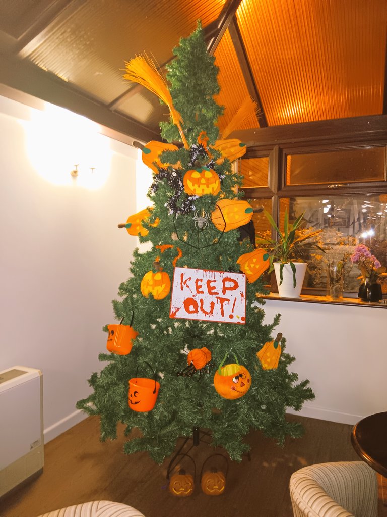 EmmaCla24925473's tweet photo. @LCCRecoveryHubs the recoveryhub@eastleeds Halloween tree done by the night staff , kelly  and myself  .. https://t.co/WlJUYJgs2D