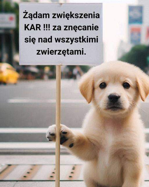 Janek Sługocki tweet media