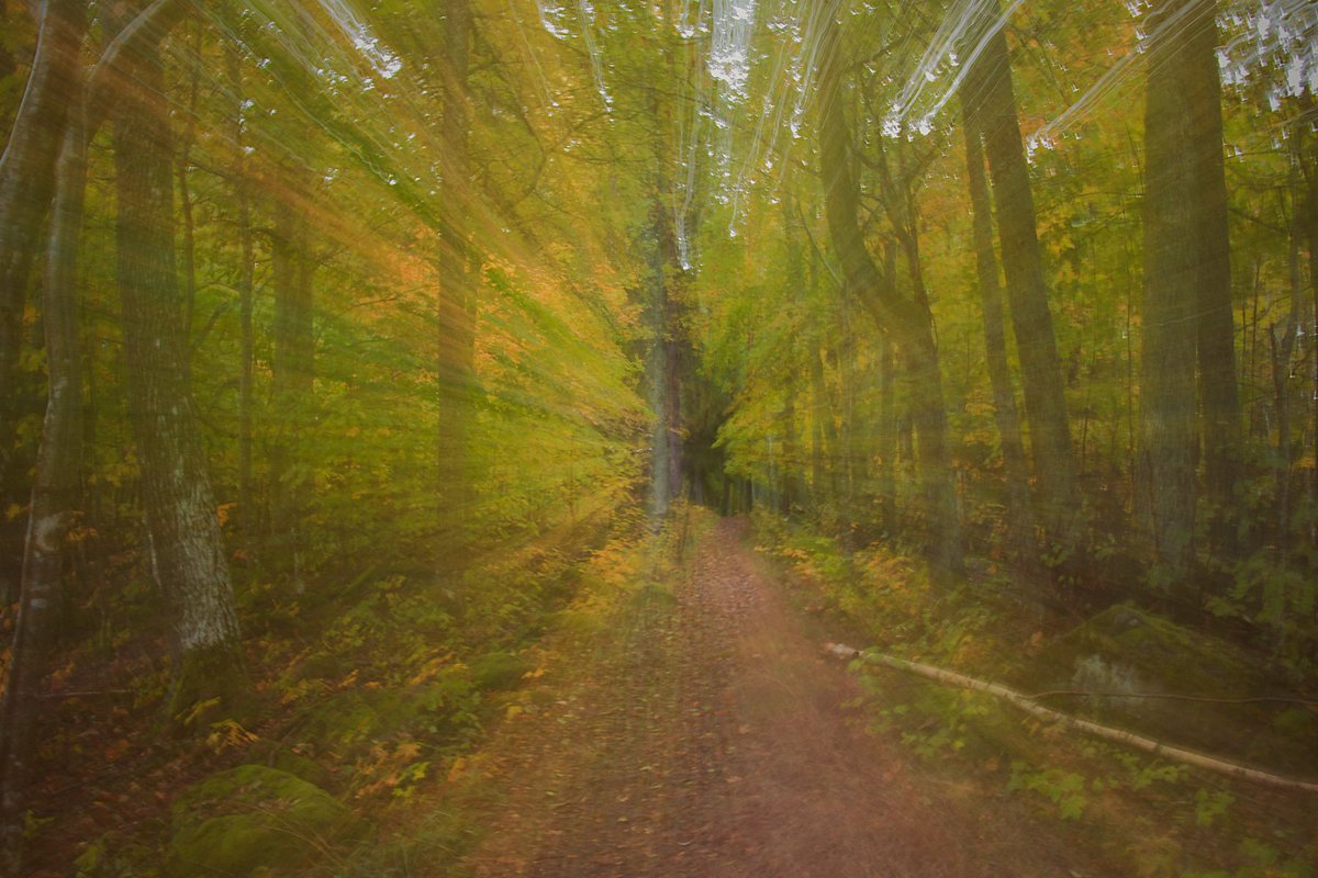 Låt dig slukas av vår natur
det är en riktig hälsokur
Tankarna skingras i ett nafs
för där finns inget utrymme för en massa tjafs