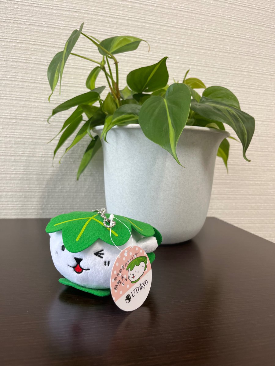 東大柏キャンパスの人気マスコット、物性犬が我らが情報基盤センターにもやってきました。（本来は物性研究所のキャラクター）