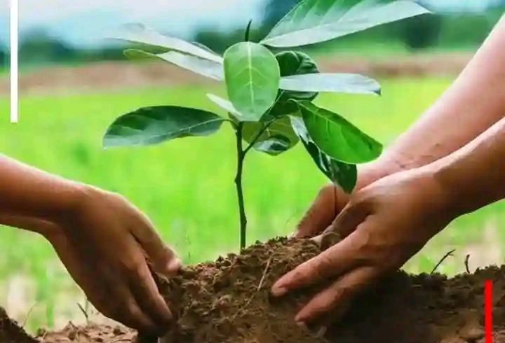 MudogoBenard's tweet photo. Let us embrace this day by planting and cultivating trees.
#Keepenvironmentclean https://t.co/nnjYDd9Pan
