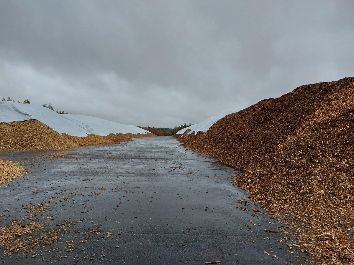 Metsähakkeen käyttö nousi viime vuonna 11 miljoonan kuutiometrin ennätyslukemiin, mutta kasvu taittuu ensi vuonna. Hakkeen laitoshinta pysyi korkealla tasolla, ja jatkaa nousuaan.   Lue lisää Metsäsektorin suhdannekatsauksesta jukuri.luke.fi/handle/10024/5…