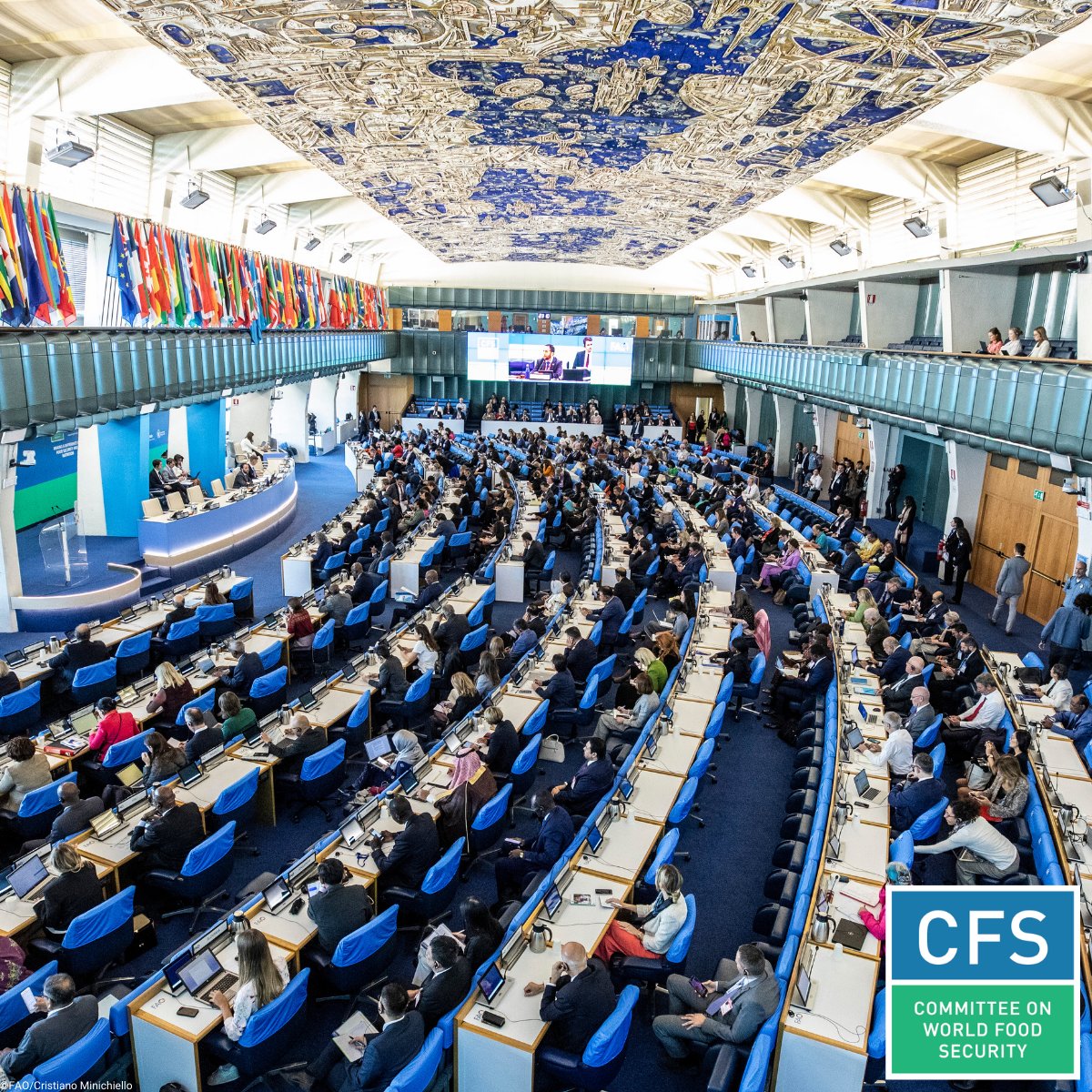 UN_CFS's tweet photo. #CFS52 #50yearsofCFS
🌍In under 10 days, CFS Members will tackle food security challenges!
📅 21-25 October 2024 | (FAO HQ and Zoom platform)
More details 👉https://t.co/4WxVajPDAL https://t.co/c7yPh0T05L