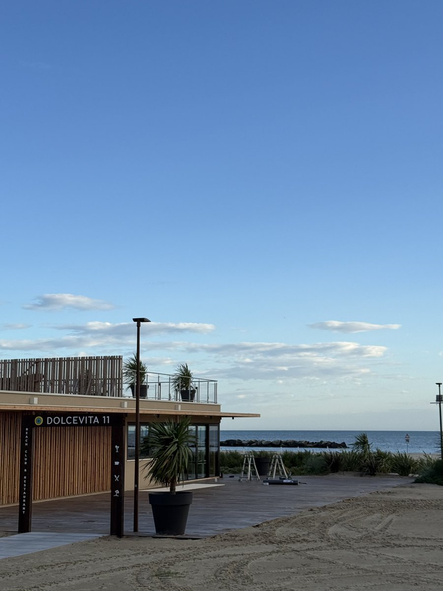 Enzus93's tweet image. GM from a real #stepner in a new city 🌆 
And gm also from my newest common ready to burn 🔥 🤙
#STEPNGO #stepn