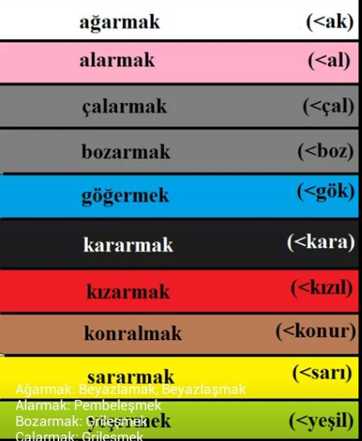 Esad Kibar tweet media