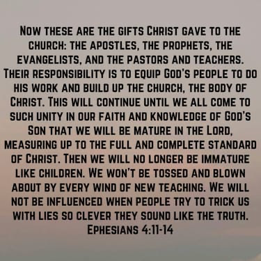 Needs Light tweet media