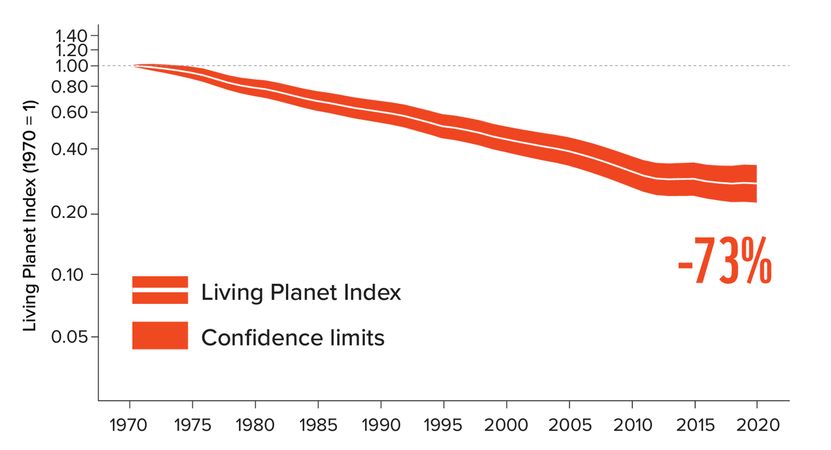 💣La nature s'effondre. Presque 3 vertébrés sauvages sur 4 ont disparu en 50 ans ! ⏰
Et pourtant, la droite sénatoriale pense que la priorité est de revenir sur l'objectif zéro artificialisation nette et de continuer à bétonner joyeusement la nature 🤦
wwf.eu/?15334891/Syst…