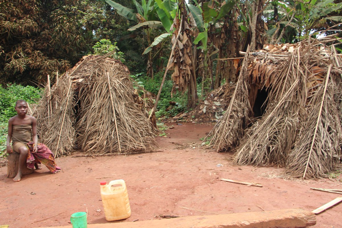Ngwe_Angel's tweet photo. Simplicity of dailylife Iin an indigenous Baka settlement in Elango Village Located in the East region of Cameroon.  Young girl sits infront of Mongolo hut https://t.co/VEBcA4APyQ