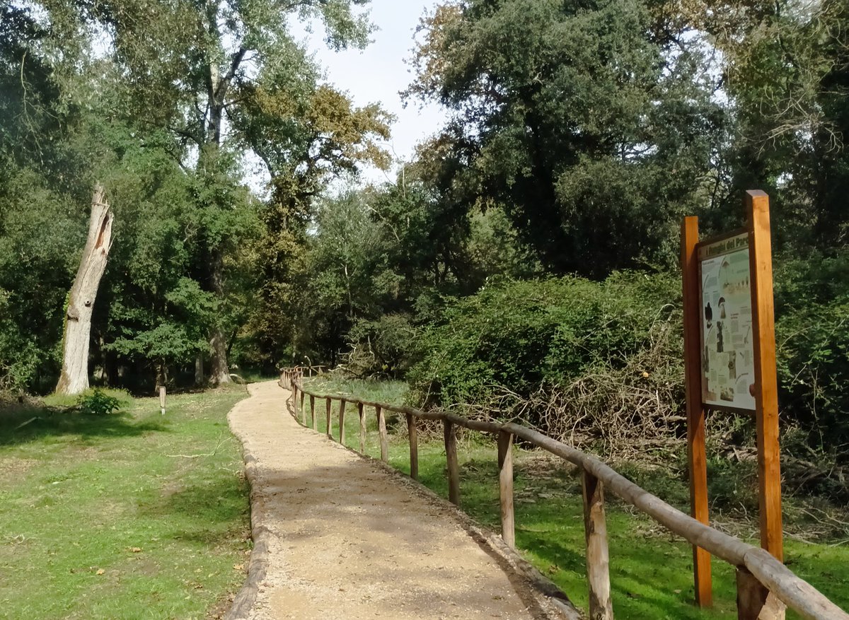 Sabrina Bulleri nel cuore di San Rossore
Restaurato con tecniche all'avanguardia il percorso
accessibile: sabato l’inaugurazione
Un chilometro tra boschi, aree umide e fauna selvatica
parcosanrossore.org/nel-cuore-di-s…
#ParcoMSRM #SanRossore #Parcoaccessibile
#Parcodavivere #Parcodascoprire