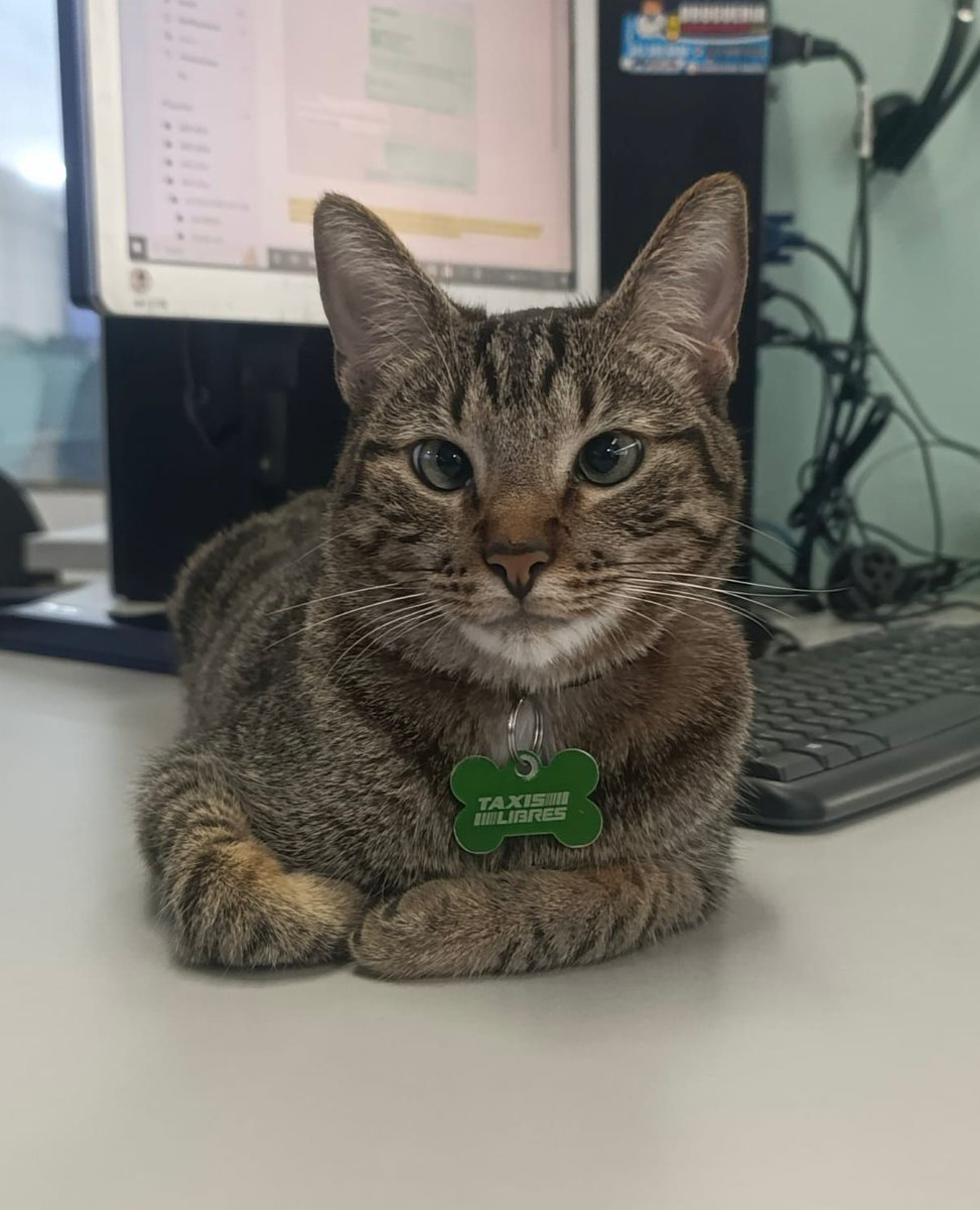 🌏✨Tu viaje, nuestra misión... y la misión de Inspector también 😻😽.
Viajar con Taxis Libres es seguridad, confianza y sobre todo, compañía. ¡Aquí, cada viaje cuenta y todos somos familia!.
¿Por qué elegirnos? Porque como tú, amamos la tranquilidad, la rapidez y la comodidad.