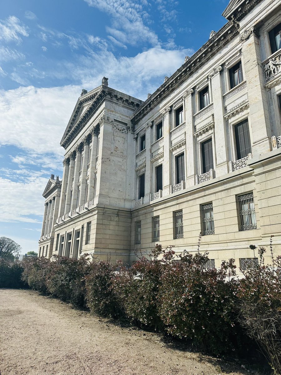 natalia moris tweet media