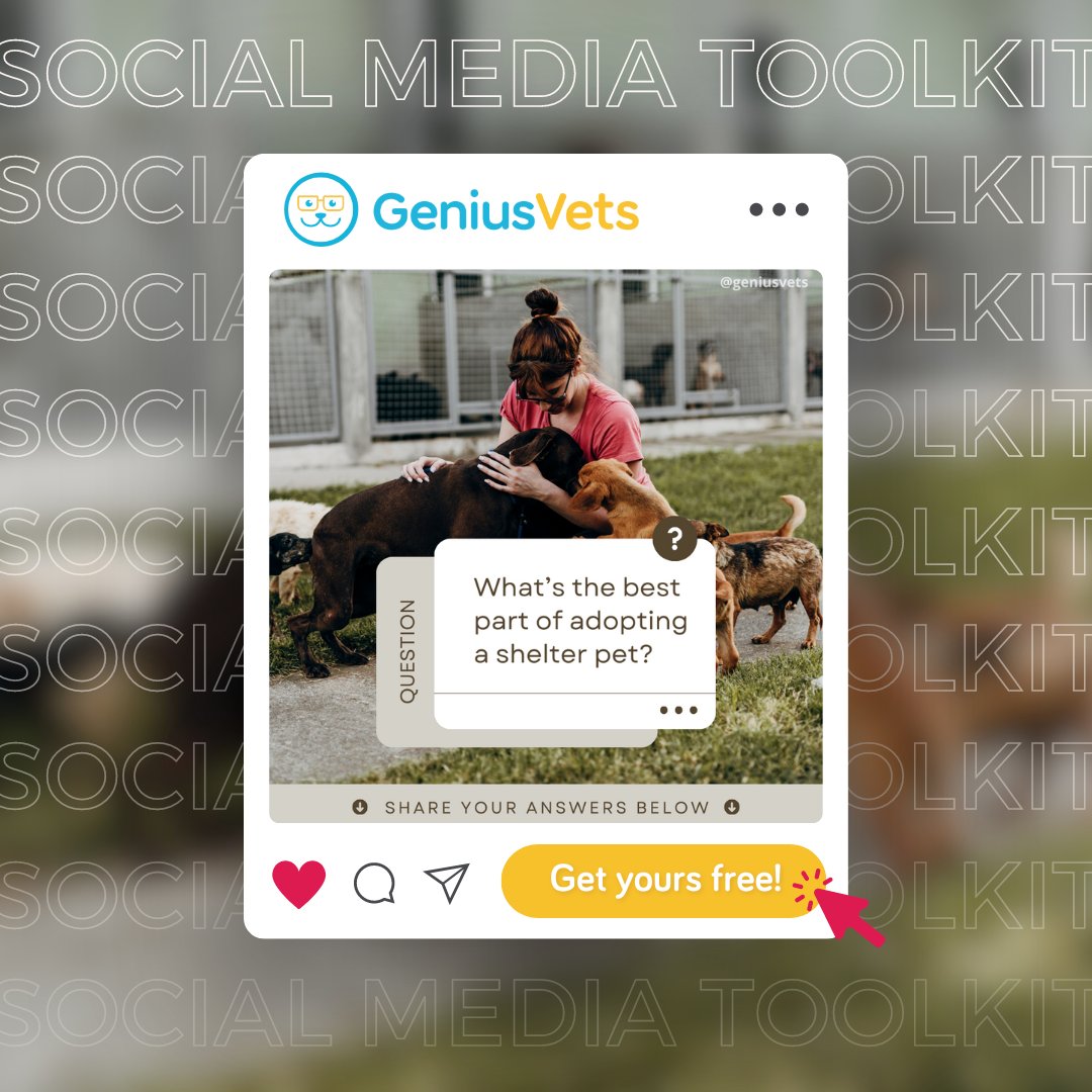 GeniusVets's tweet image. Get our free monthly Social Media Toolkit by signing up here: pro.geniusvets.com/newsletter-sub…

Includes:
Content calendar 🗓️
GeniusTips for engagement 💡
Downloadable assets 📥
How-to instructions 📝
Ideas to get tagged in posts 🐶📸 

#GeniusVets #SocialMediaToolkit #VeterinaryMarketing