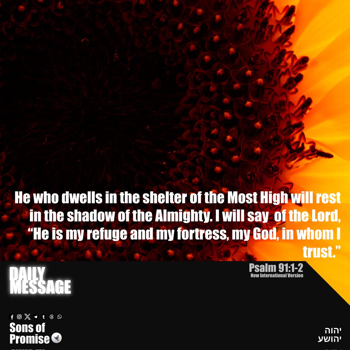 promiseFPUS's tweet photo. Psalm 91:1-2

He who dwells in the shelter of the Most High will rest in the shadow of the Almighty. I will say  of the Lord, “He is my refuge and my fortress, my God, in whom I trust.”

#YAHUAH #YAHUSHA #Shalom #God #Jesus #Christ #HolySpirit #Gospel #SonsofPromise #Bible https://t.co/3kPmpkQBAc