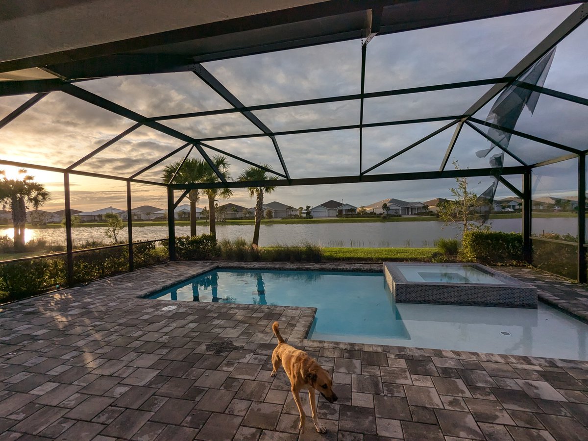 #milton passed overnight. Windy. But we were and are safe. Only damage is one lost section of screen. There's a small downed tree across the street. Otherwise, my immediate area of #SWFL looks like another beautiful #Florida day. Best wishes to those that didn't fare so well.