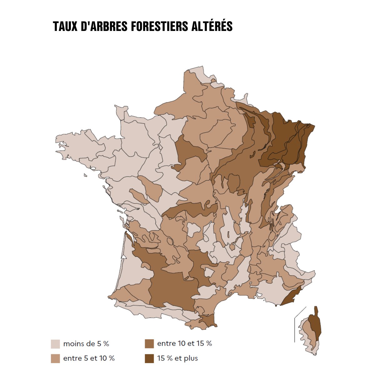 La mortalité des arbres a doublé en 10 ans 🍂

La surface forestière continue d’augmenter (elle représente aujourd’hui 17,5 millions d’hectares, soit 32 % du territoire), mais la croissance du volume total des arbres ralentit.  
 
C’est le résultat du dérèglement climatique, la