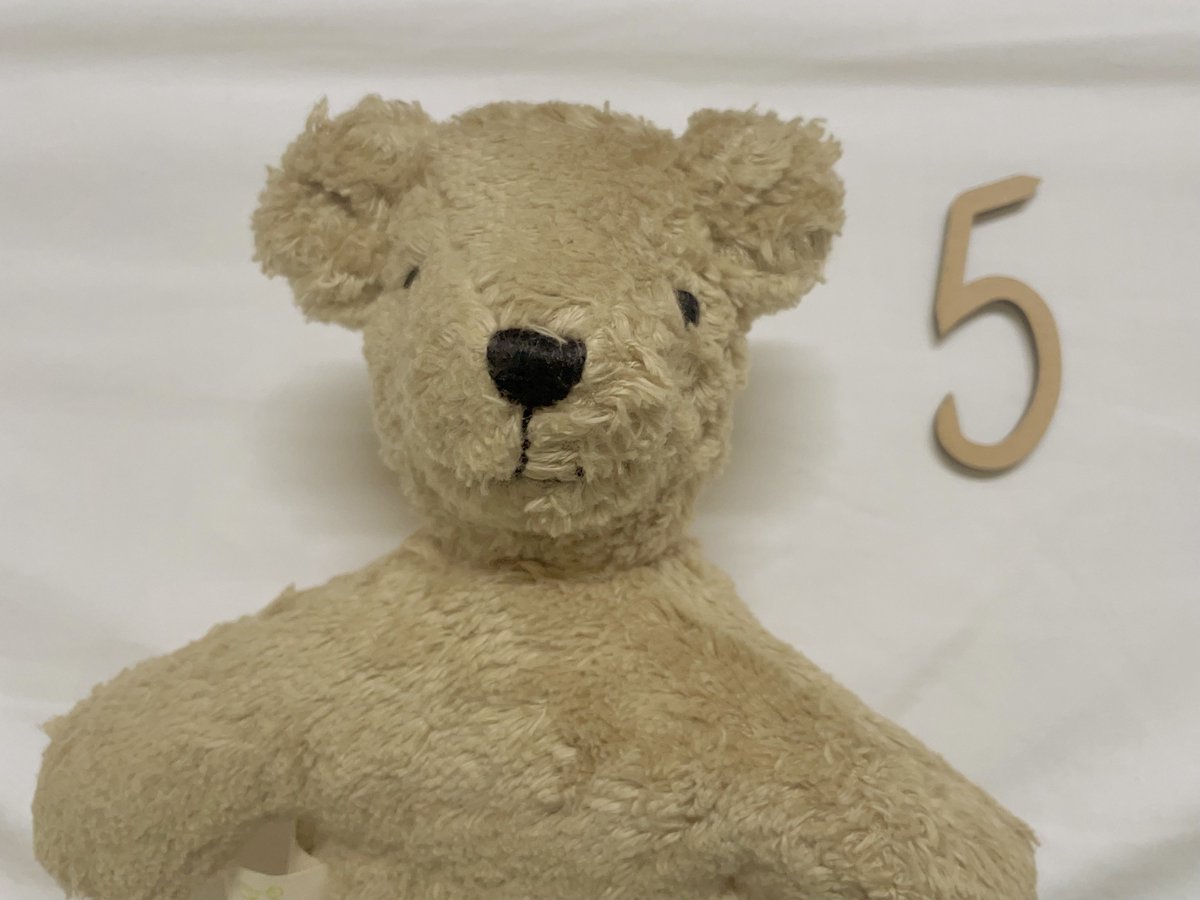 カウントダウンが始まった…！⏱️💭
帝王切開まであと５日👶🏻🌟

２日前には36週も迎えることが出来て、本当に良かった〜🥹第一子👧🏻の時は緊急で36週で帝切したから今回も凄く心配だったんだよなぁ🥹💦
なんとか無事に帝切予定日迎える事が出来そう🌟赤子に会えるの楽しみだ〜〜！