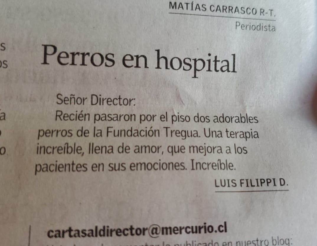 ConchitaQ's tweet photo. Carta al director de hoy que refleja el impacto de las Terapias de Perros en Hospitales.

Fundación Tregua fue seleccionad@ por un fondo internacional y para ganar necesitamos que VOTEN en este link  con 5 ⭐️ https://t.co/b6Te1oiRec

Si te gusta, compartelo 🙏 https://t.co/0m9fsTTf6O