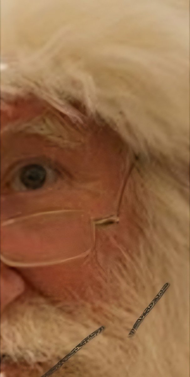 Ashby House (@cwpt_ashbyhouse) on Twitter photo We have had an exciting week of christmas planning and just before the weekend comes we can confirm another special guest who will be attending the Christmas fete π can you possibly guess who it might be π€£ <a href="/CWPT_NHS/">Coventry and Warwickshire Partnership NHS Trust</a> <a href="/CW_NurseCareers/">Coventry & Warwickshire Nursing Careers</a> <a href="/CWPT_QI/">CWPT_QI</a> <a href="/CWPT_LDAutism/">CWPT Learning Disabilities and Autism Directorate</a> <a href="/CWPT_Recruit/">CWPT Recruitment</a> We have had an exciting week of christmas planning and just before the weekend comes we can confirm another special guest who will be attending the Christmas fete π can you possibly guess who it might be π€£ <a href="/CWPT_NHS/">Coventry and Warwickshire Partnership NHS Trust</a> <a href="/CW_NurseCareers/">Coventry & Warwickshire Nursing Careers</a> <a href="/CWPT_QI/">CWPT_QI</a> <a href="/CWPT_LDAutism/">CWPT Learning Disabilities and Autism Directorate</a> <a href="/CWPT_Recruit/">CWPT Recruitment</a>