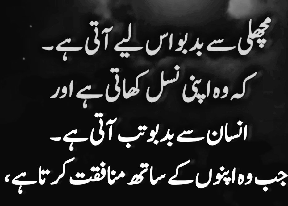Rabi Tiwana🇵🇰 tweet media
