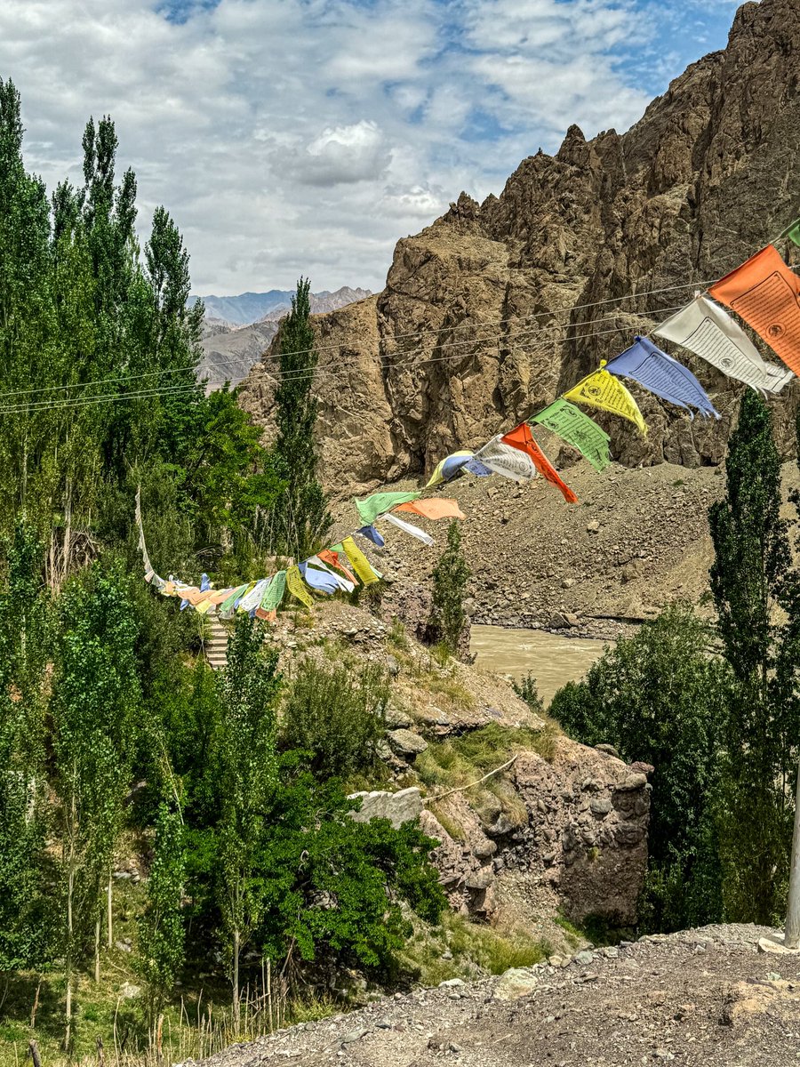 タルチョはためくこの景色が見たかった。
感動したな…
旅の思い出に浸る日々
下ラダック アルチ 標高約3100m
2024.8.11