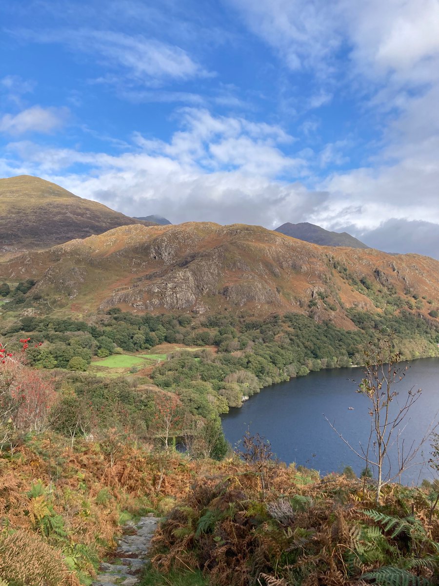 Exploring sunny Snowdonia! We made it to the top! #yr6 <a href="/PlasGwynant/">Plas Gwynant OEC</a>