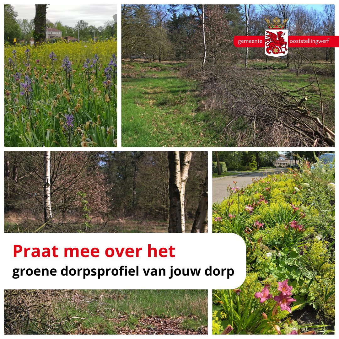 🌿 Haule wordt groener!

Kom op donderdag 24 okt naar Dorpshuis De Mande (20:00) en deel je ideeën voor een biodivers dorp. 

Er is €2500 beschikbaar per dorp voor de uitvoering van haalbare plannen! 
Info: obi41.nl/2p9d5sfs