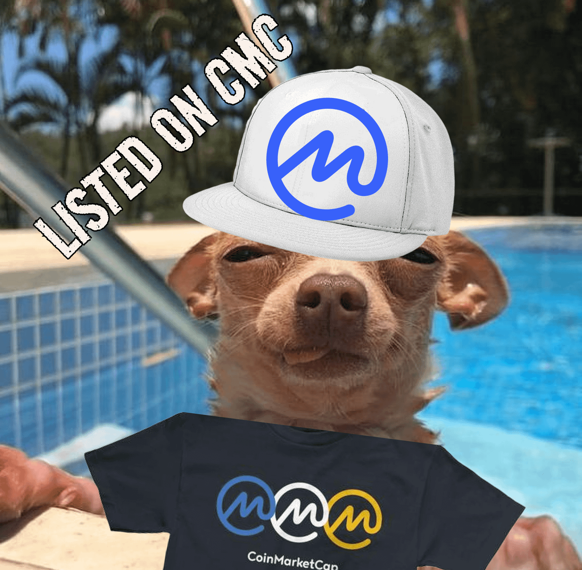 CDOGE tweet media