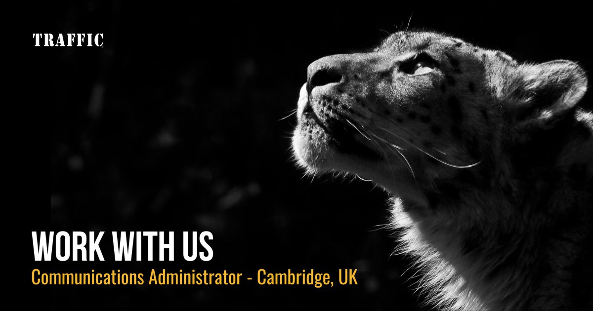 📢 JOB OPPORTUNITY 

We are seeking a passionate Communications Administrator to craft and share inspiring stories.  Join our dedicated team and use your skills to make a real difference! #conservationjobs 

Find out more: loom.ly/JPd0zi4