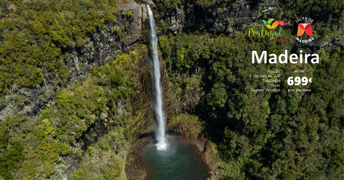 Explora la belleza natural de Madeira, un paraíso de paisajes verdes,cascadas y senderos impresionantes. Sumérgete en su encanto exótico y disfruta de una experiencia inolvidable #madeiraislands#visitmadeira #madeiranowordsneeded #madeirabelongstoall #experiencemadeiraforyourself