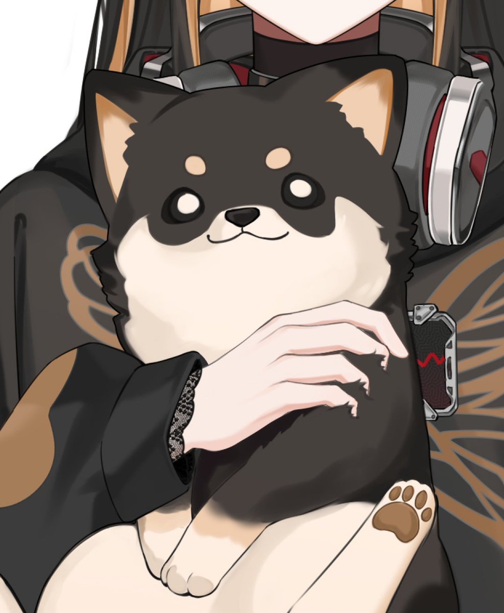 qingxunx7's tweet image. #v皮
聞到小狗味了！