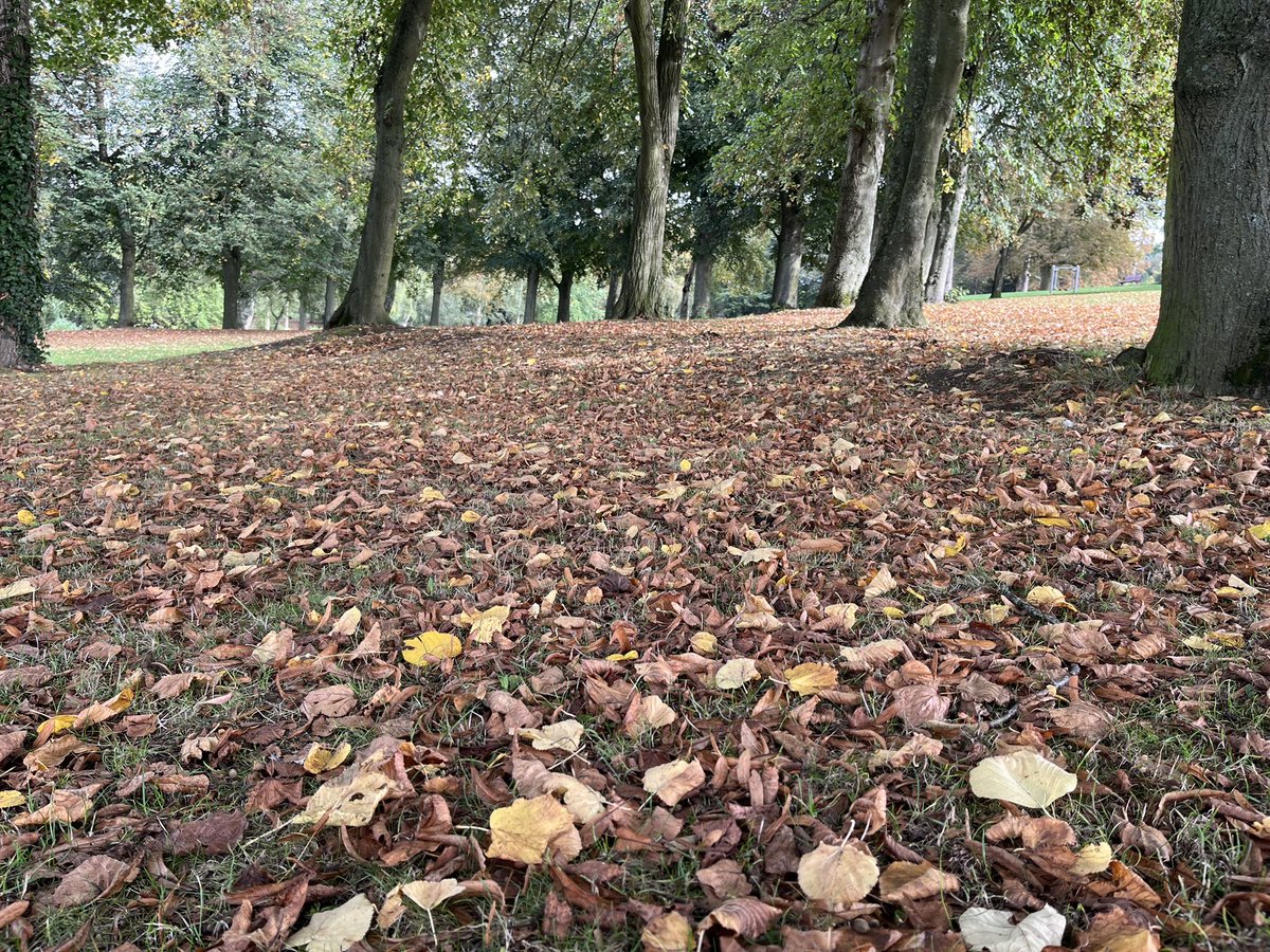 On #WorldMentalHealthDay, take a walk in your local park to reconnect with nature. A peaceful walk through our park can do wonders for your mental health. #loveparks <a href="/WUParks/">World Urban Parks</a> <a href="/GreenFlagAward/">GreenFlagAward</a> <a href="/FieldsInTrust/">Fields in Trust 💚</a> <a href="/LGANews/">LGANews</a> <a href="/forum_parks/">The Midlands Parks Forum</a> <a href="/parks_forum/">The Parks Management Association</a>