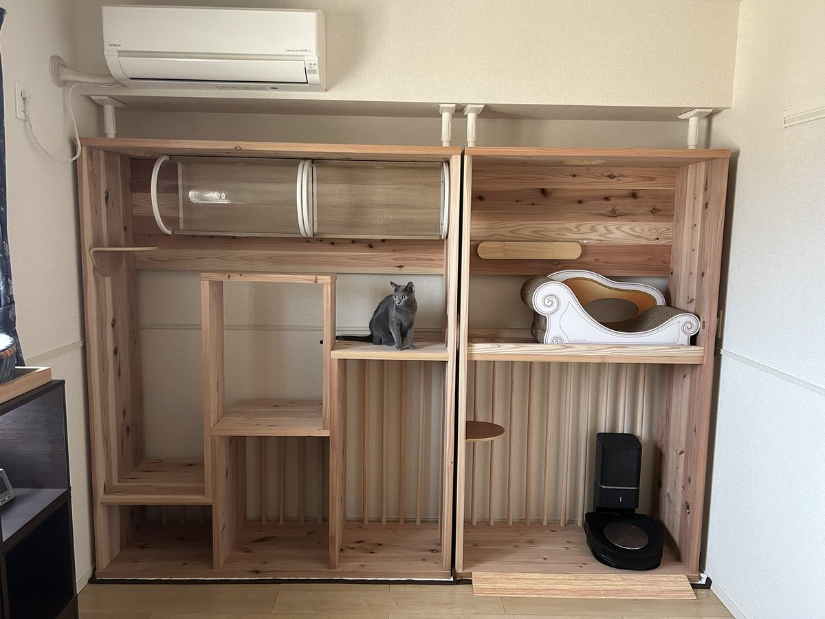 まっきー🐈‍⬛ tweet media