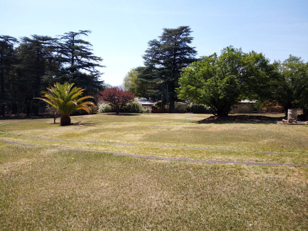 romatrading03's tweet photo. Time to relax in comfort and tranquility. Picnics, camping, yoga...are all available. #romatradingpost #explore #nature #peace https://t.co/10FPm9sEBF