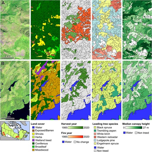 Forestry - An Int. Journal of Forest Research (@forestry_oup) on Twitter photo A new workflow for satellite-based forest inventory (SBFI) in Canada 🛰️🌲🗺️
Using image segmentation approaches, <a href="/mikewulder/">Mike Wulder</a> et al. develop spatially explicit stand-level SBFI in Canada applicable to both forest researchers and practioners.
Read here 👇
doi.org/10.1093/forest… A new workflow for satellite-based forest inventory (SBFI) in Canada 🛰️🌲🗺️
Using image segmentation approaches, <a href="/mikewulder/">Mike Wulder</a> et al. develop spatially explicit stand-level SBFI in Canada applicable to both forest researchers and practioners.
Read here 👇
doi.org/10.1093/forest…