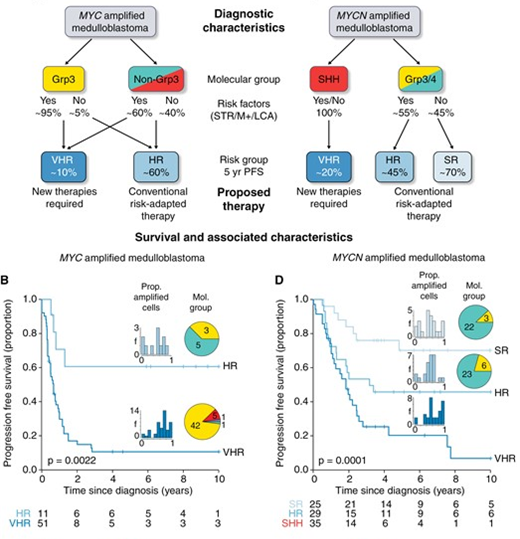 Steve Clifford (@profsclifford) on Twitter photo Revealing the 'worst of the worst' #medulloblastoma - new treatments urgently needed: Heterogeneity within MYC-family amplified medulloblastoma is associated with survival outcome academic.oup.com/neuro-oncology… @edschwalbe <a href="/NU_Cancer/">Newcastle University Centre for Cancer</a> <a href="/CRUKresearch/">Science and Innovation at Cancer Research UK</a> <a href="/CwC_UK/">Children with Cancer UK</a> <a href="/BrainTumourOrg/">The Brain Tumour Charity</a> <a href="/GOSHCharity/">Great Ormond Street Hospital Charity</a> Revealing the 'worst of the worst' #medulloblastoma - new treatments urgently needed: Heterogeneity within MYC-family amplified medulloblastoma is associated with survival outcome academic.oup.com/neuro-oncology… @edschwalbe <a href="/NU_Cancer/">Newcastle University Centre for Cancer</a> <a href="/CRUKresearch/">Science and Innovation at Cancer Research UK</a> <a href="/CwC_UK/">Children with Cancer UK</a> <a href="/BrainTumourOrg/">The Brain Tumour Charity</a> <a href="/GOSHCharity/">Great Ormond Street Hospital Charity</a>