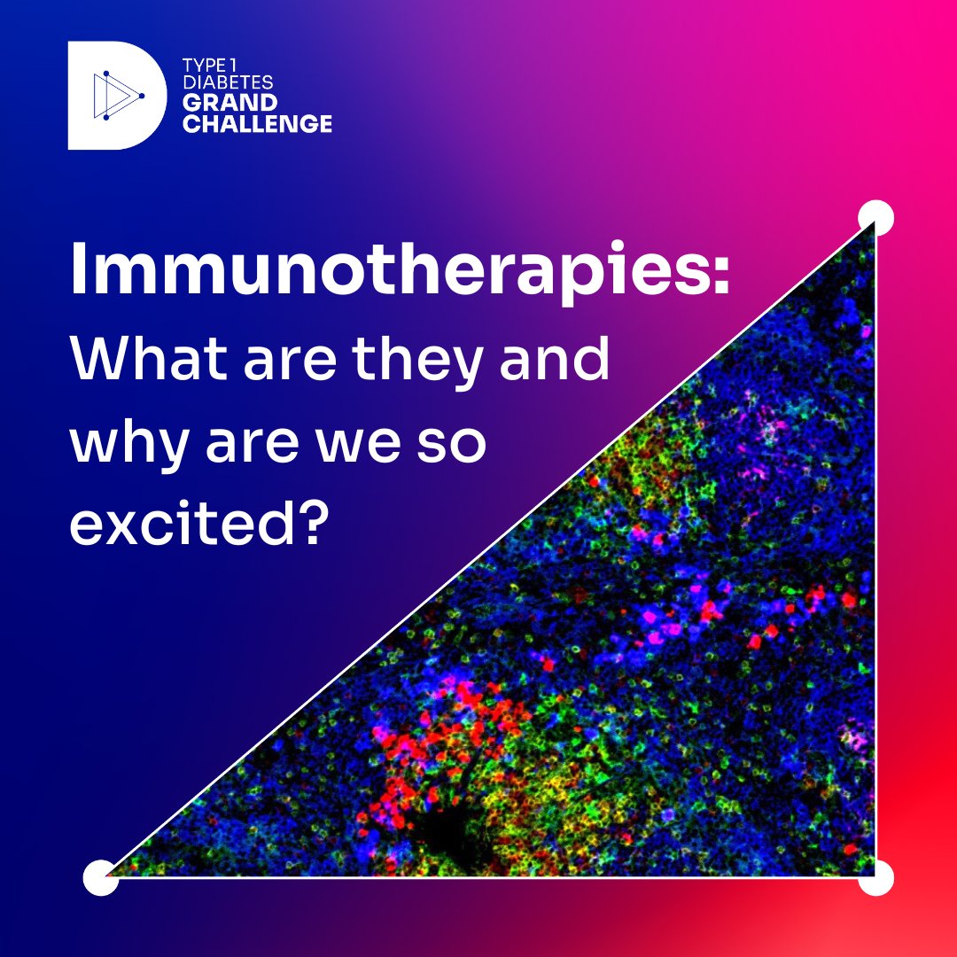 Breakthrough T1D UK (@bt1duk) on Twitter photo Immunotherapies have the potential to transform the treatment of #Type1Diabetes, but what actually are they and why are we so excited about them? 💉🤔
We explain all in our latest blog: bit.ly/3zQWNOe
#Type1DiabetesGrandChallenge #T1D
<a href="/JAPearsonLab/">James Pearson</a> <a href="/DUK_research/">Diabetes UK Research</a> Immunotherapies have the potential to transform the treatment of #Type1Diabetes, but what actually are they and why are we so excited about them? 💉🤔
We explain all in our latest blog: bit.ly/3zQWNOe
#Type1DiabetesGrandChallenge #T1D
<a href="/JAPearsonLab/">James Pearson</a> <a href="/DUK_research/">Diabetes UK Research</a>
