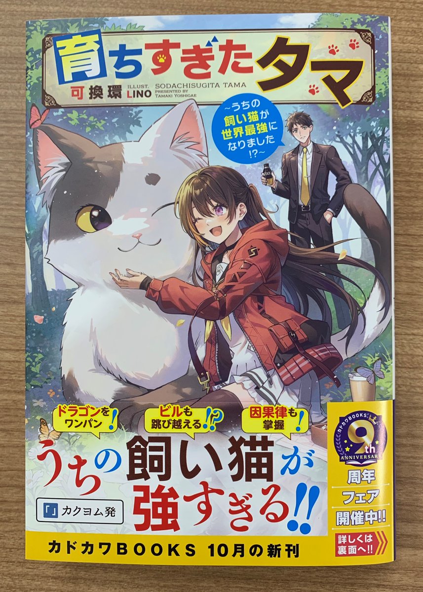 カドカワBOOKS編集部 tweet media