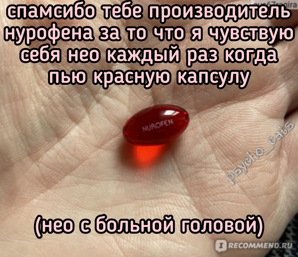 психокоты (@psycho__cats) on Twitter photo 