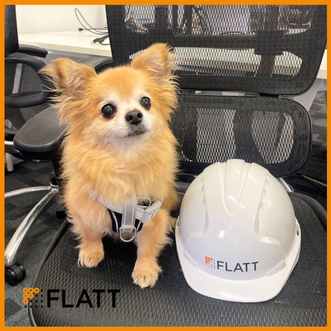 Our team mascot is here to help brighten your day. 

#WorldMentalHealthDay2024