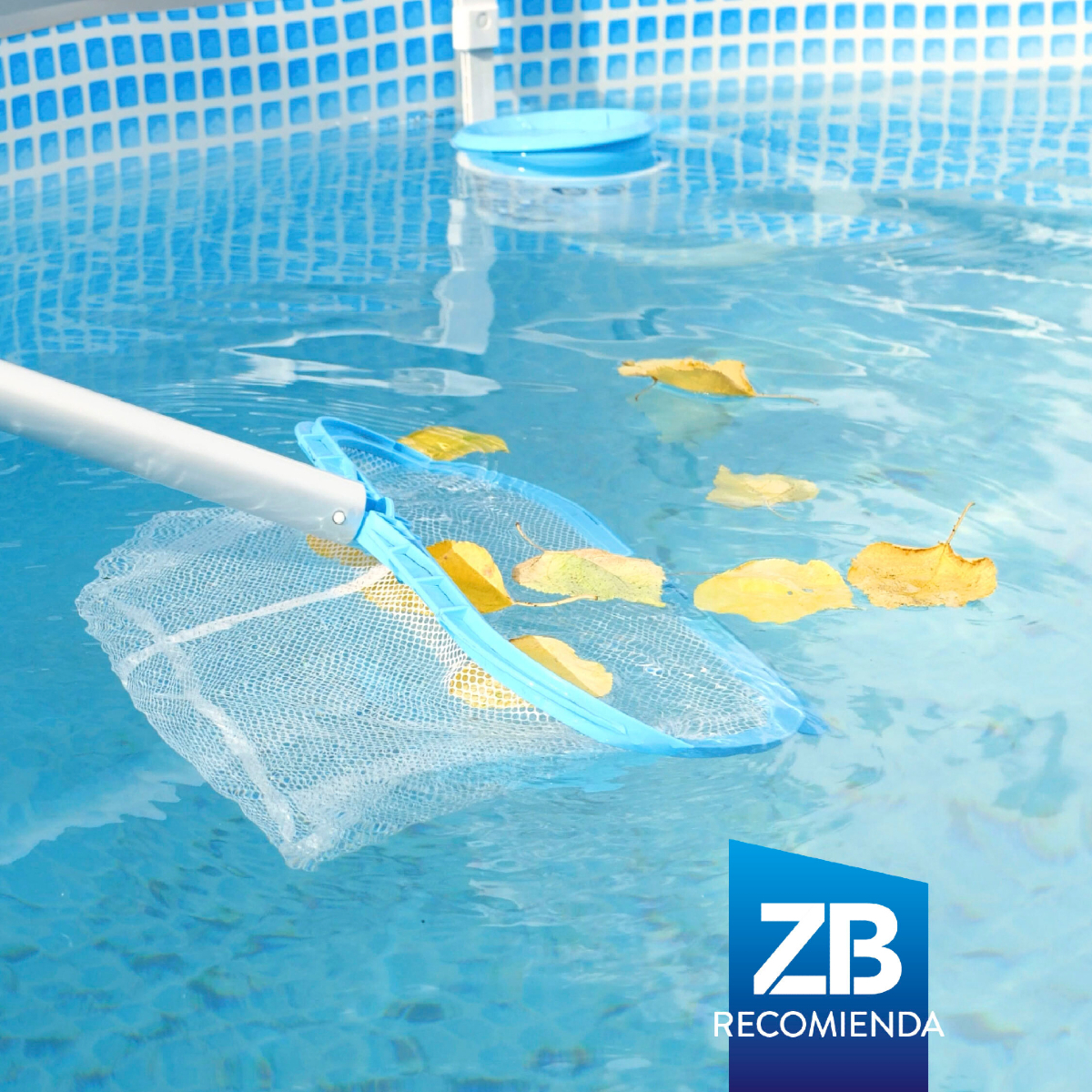 El #otoño está aquí y trae consigo hojas y más suciedad. 🍁🧹 Te recomendamos limpiar los #filtros regularmente, usar #cobertores cuando no estés usando la #piscina y mantener los niveles de pH equilibrados. 

¡Mantén tu piscina impecable esta temporada! 

#MantenimientoPiscinas
