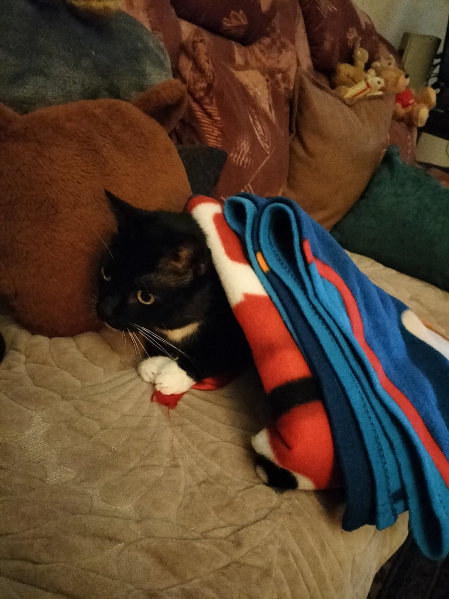 Hurra, ich habe mein rotes Band vor der Decke gerettet! 😁🐾🐈‍⬛