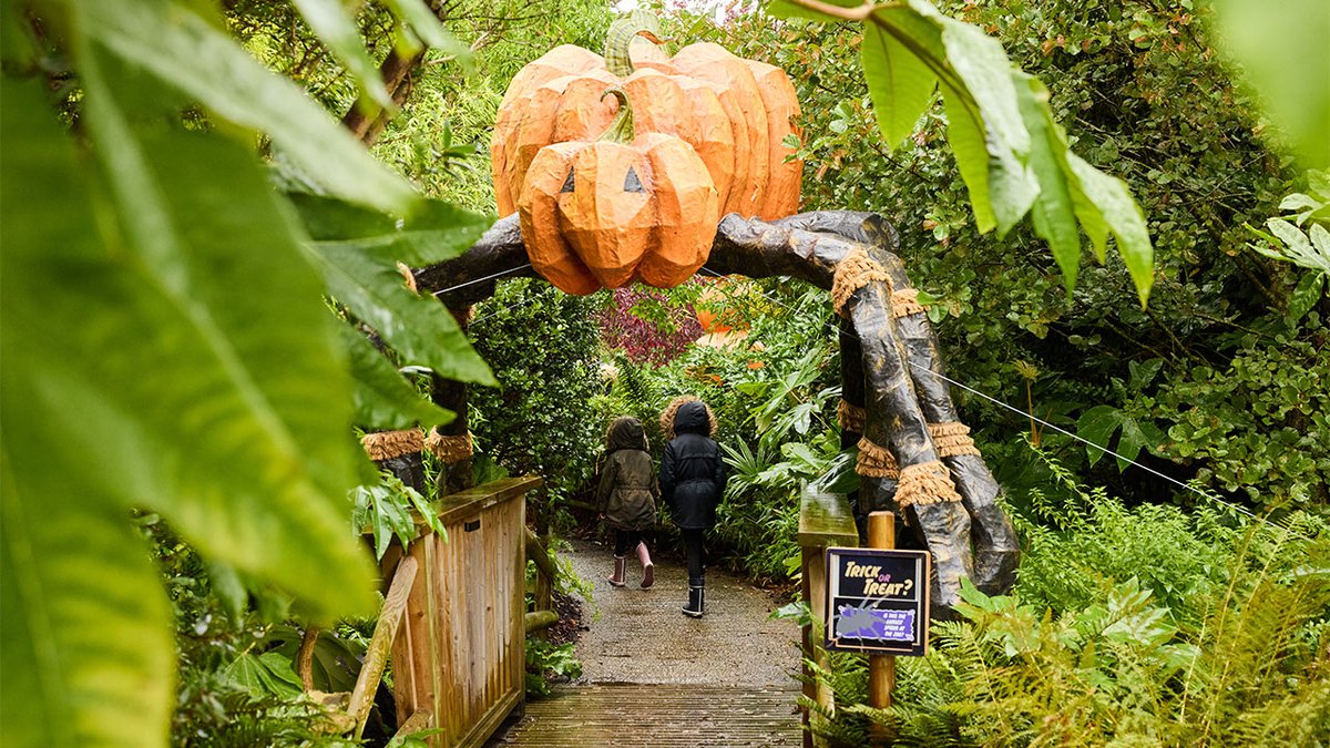 A giant pumpkin trail and mystical beasts will take over Chester Zoo this Halloween. sbee.link/8bcxvuanmq