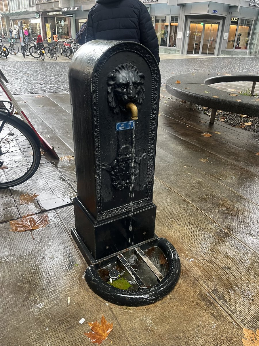 EHendersonRN's tweet image. 🇨🇭Geneva🇨🇭
Beautiful walks around botanical gardens, jet d’leau and fresh water fountains scattered around but does fruit covered in chocolate count?
Swiss Chocolate = dreamy
Staying hydrated with my #ASMOSUSresource water bottle #CVD #150 #switzerland
