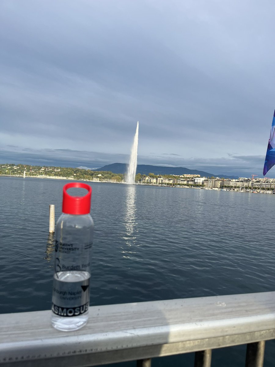 EHendersonRN's tweet image. 🇨🇭Geneva🇨🇭
Beautiful walks around botanical gardens, jet d’leau and fresh water fountains scattered around but does fruit covered in chocolate count?
Swiss Chocolate = dreamy
Staying hydrated with my #ASMOSUSresource water bottle #CVD #150 #switzerland